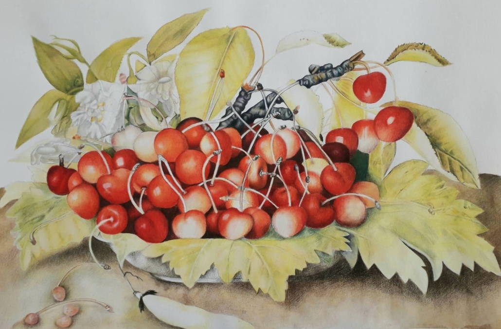 natura morta a matite colorate