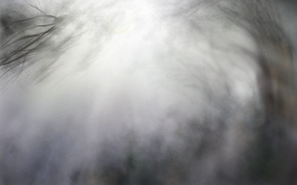 illustrazione ambiente digitale foresta