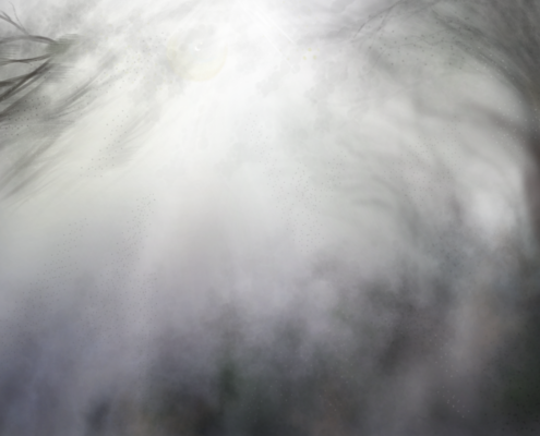 illustrazione ambiente digitale foresta